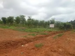 Terrain 1000 m²