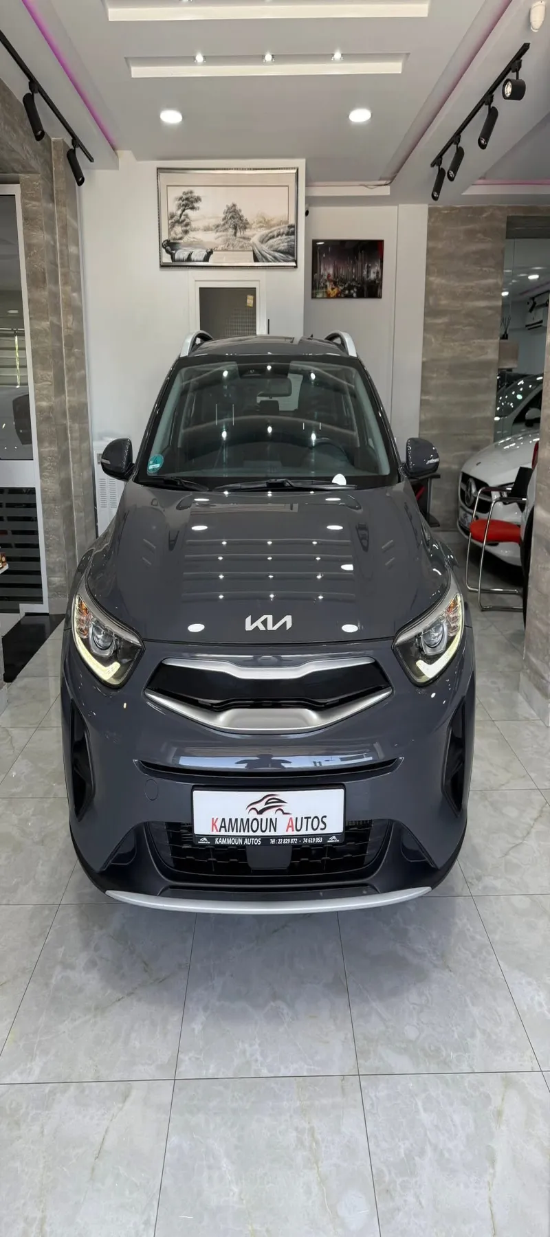 Ventes de voitures neuves 